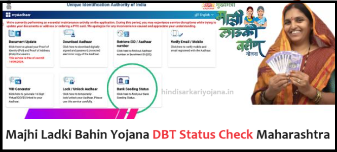 majhi ladki bahin yojana dbt status check