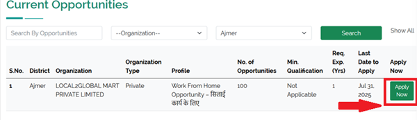 Mukhyamantri Work From Home Yojana rajasthan apply online